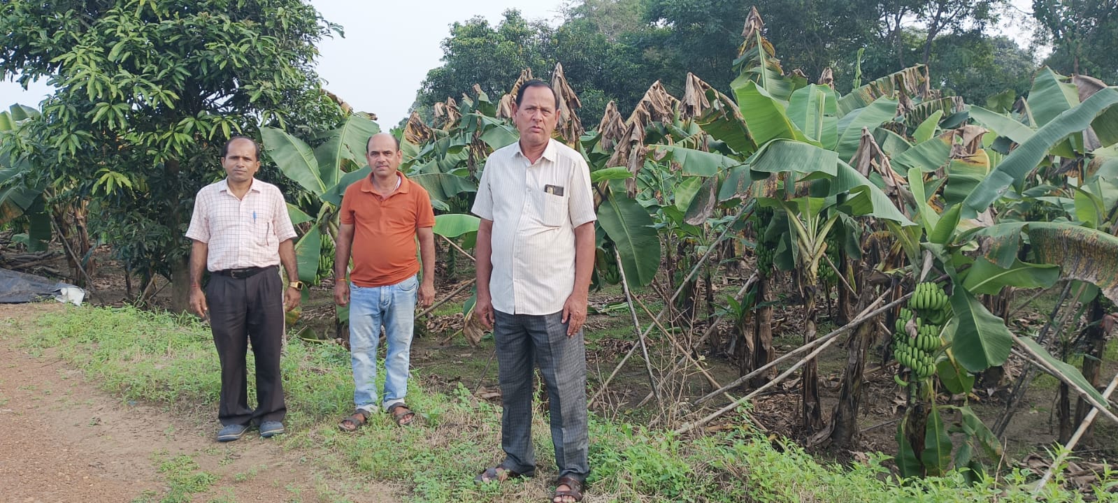 Krishi Vigyan Kendra, Kalahandi